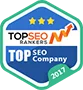 Named #1 Digital Agency in Many Countries! - 华体会