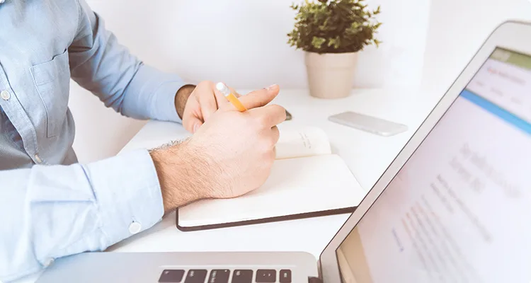 Standout New and Trending WordPress Themes - 华体会